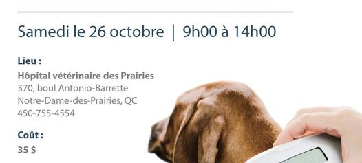 Clinique de micro-puce le samedi 26 octobre