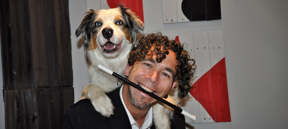 Le chien-show