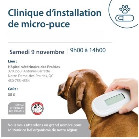 9 novembre : Clinique d'installation de micro-puce